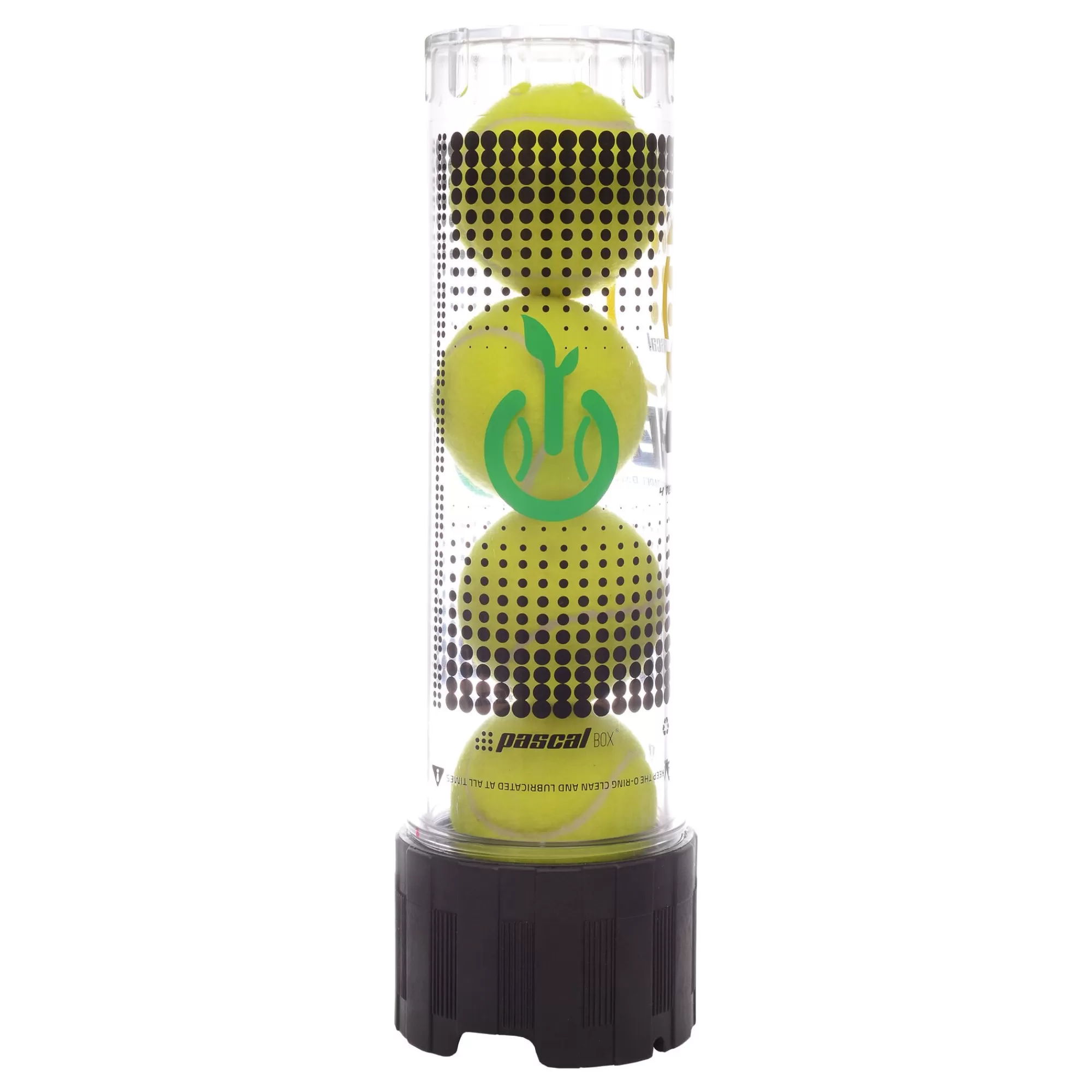 4B - Black, Transparent>Pascal Box Hot