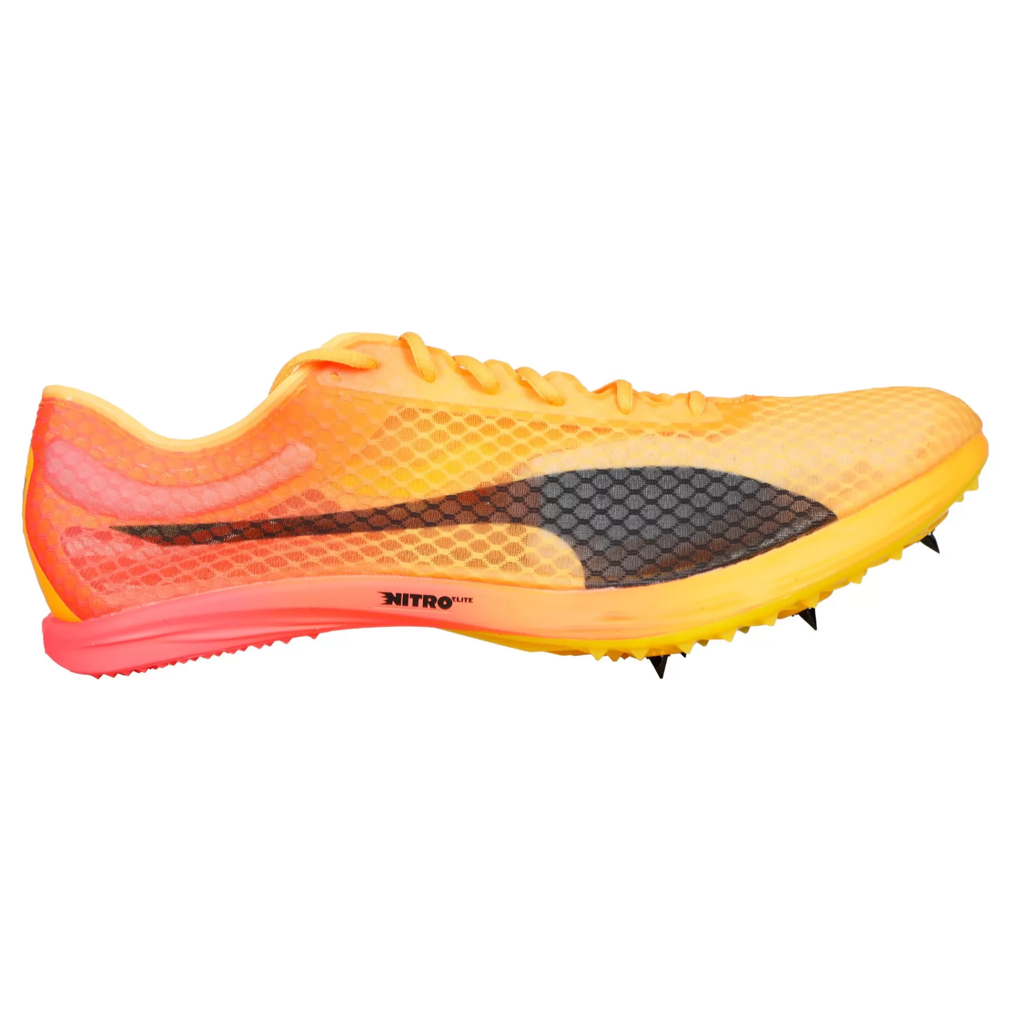 EvoSPEED Distance Nitro Elite+ 4 Spike Shoes - Orange, Black>Puma Discount