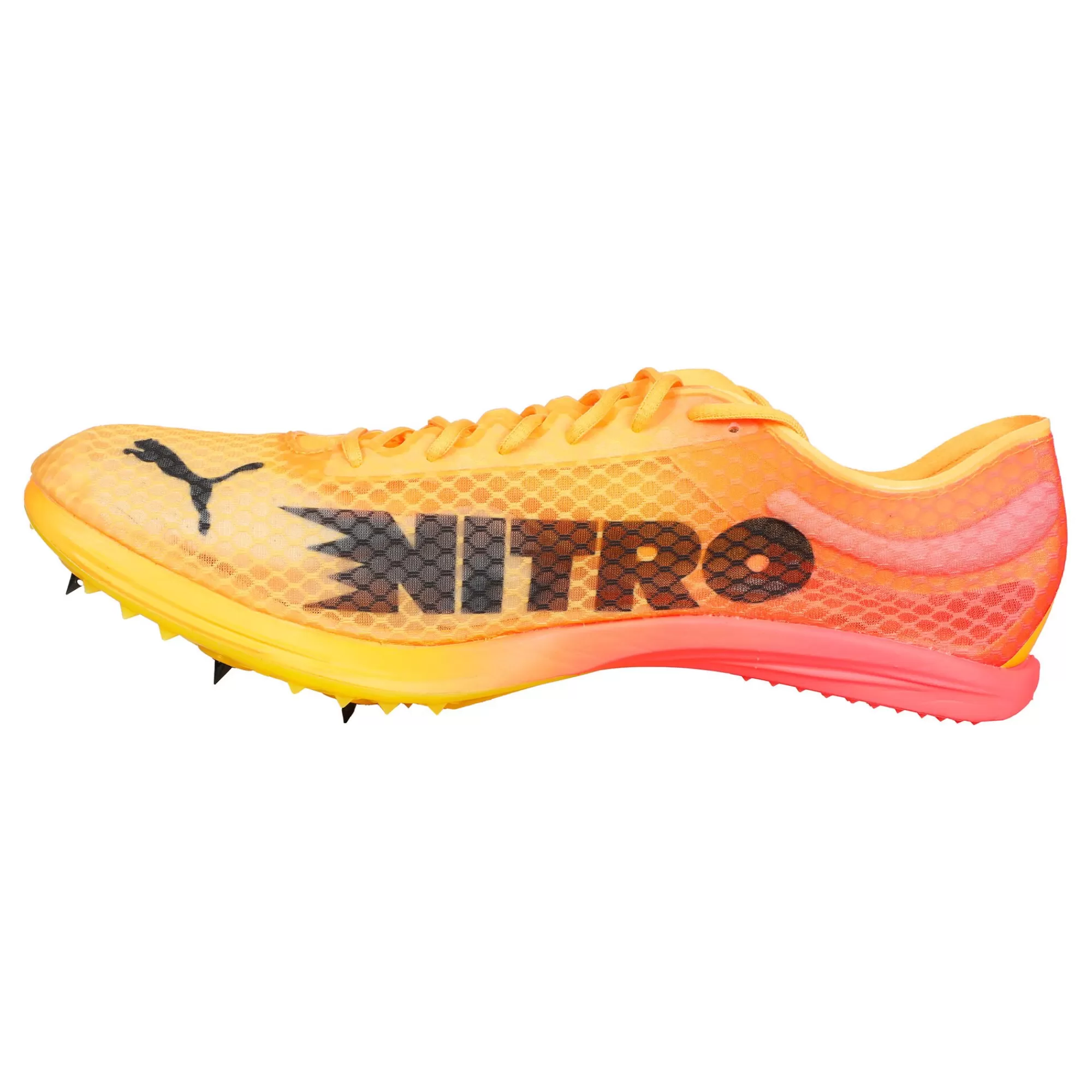 EvoSPEED Distance Nitro Elite+ 4 Spike Shoes - Orange, Black>Puma Discount
