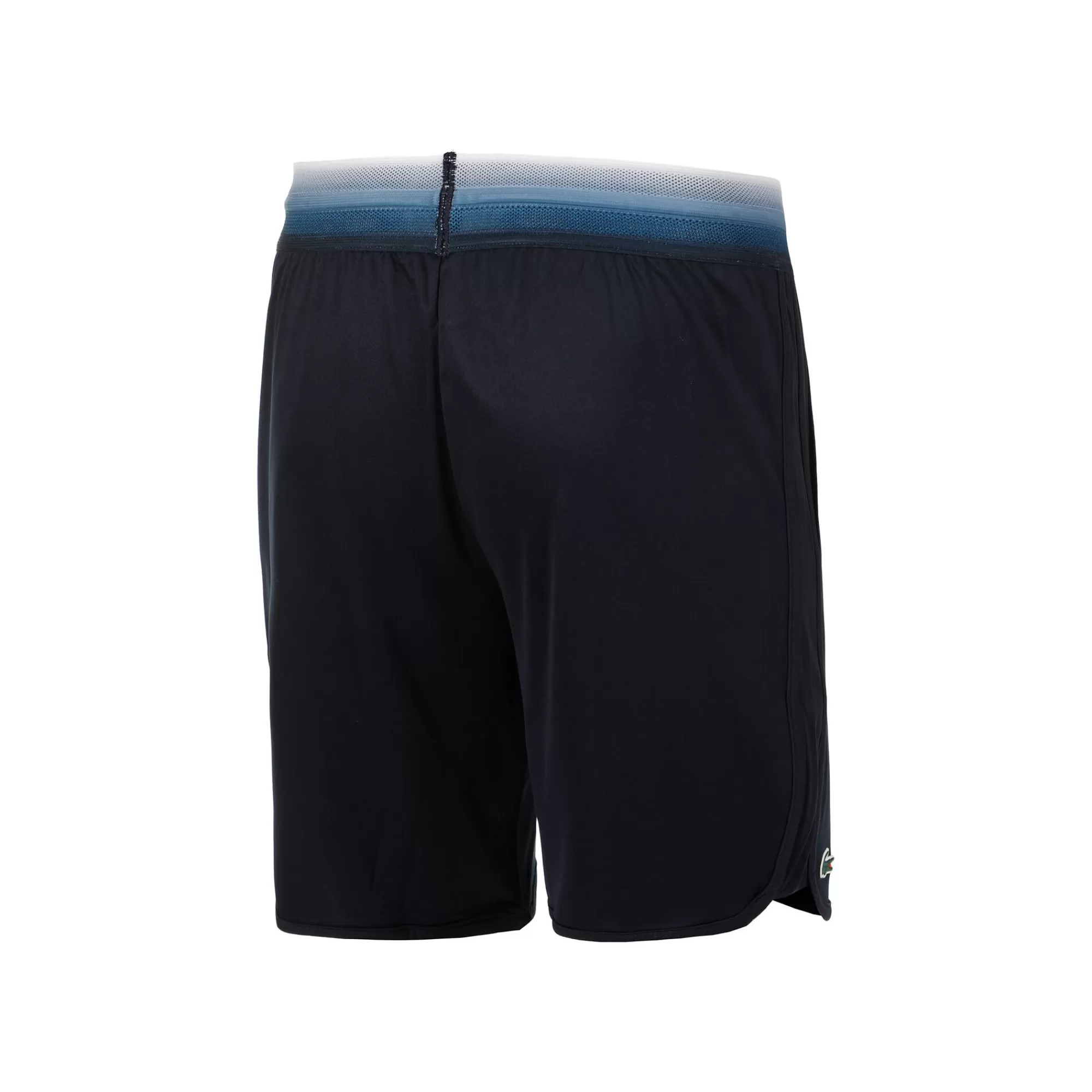 Shorts Men - Dark Blue>Lacoste Shop