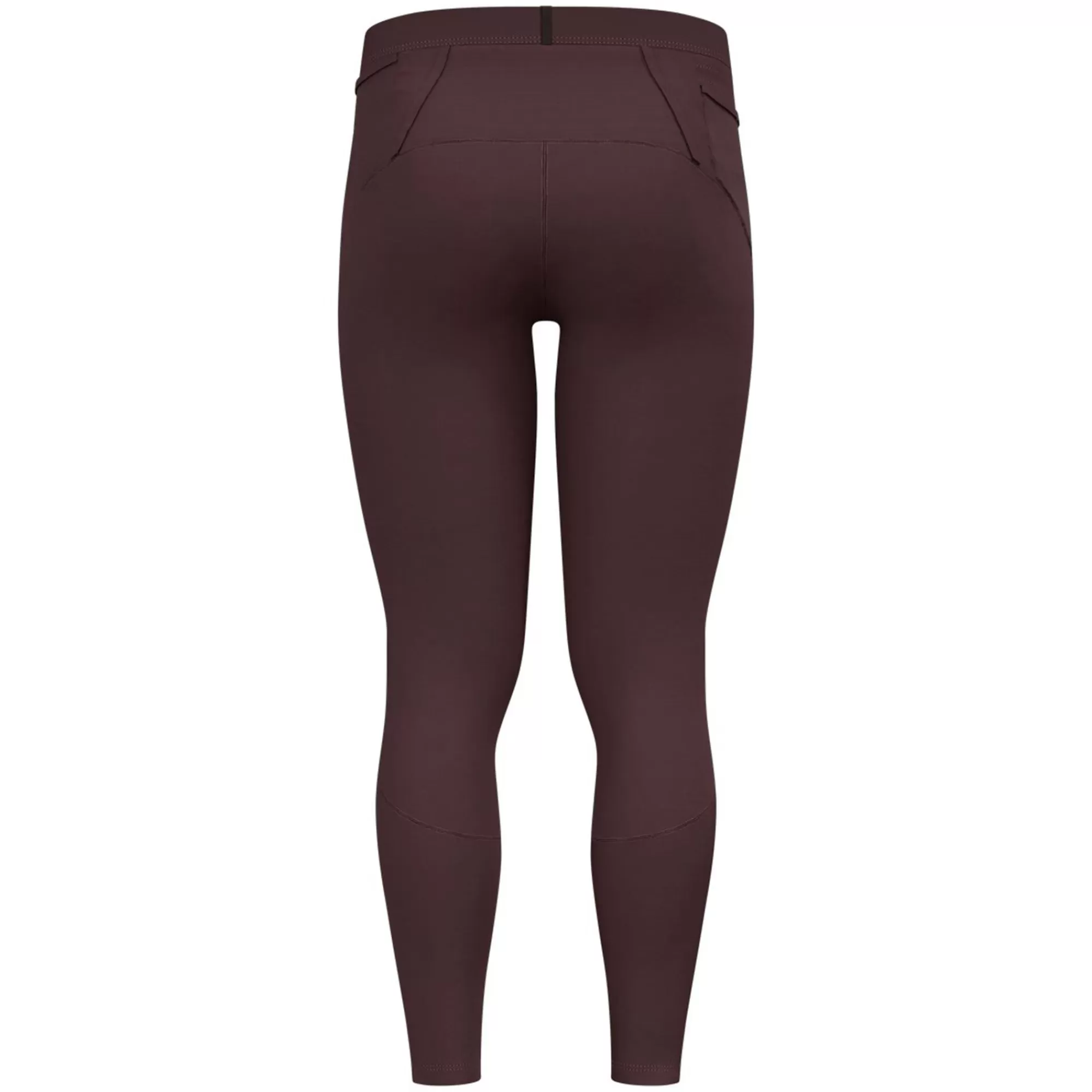 X-Alp Winter Running Tights Men ->Odlo Flash Sale